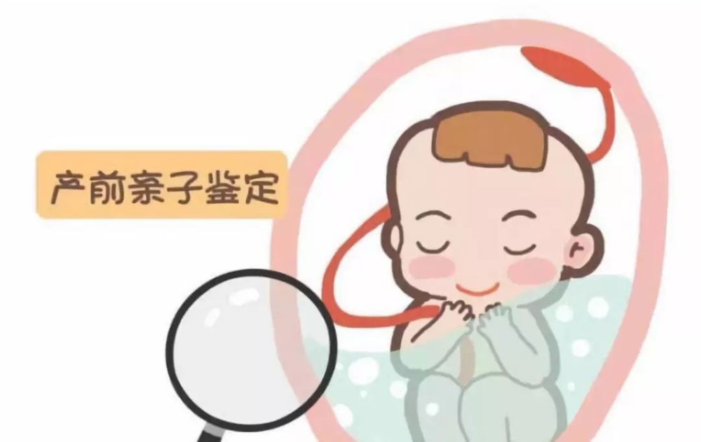 怀孕40天能做柳州亲子鉴定吗？